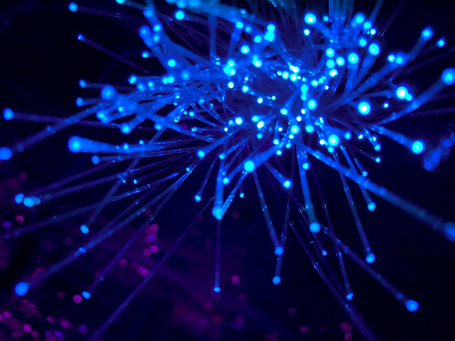 Ubiqui: innovazione e connettività senza confini